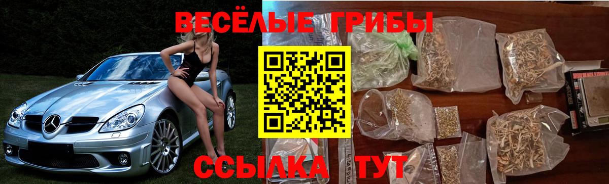 Галлюциногенные грибы Cubensis Сухой Лог